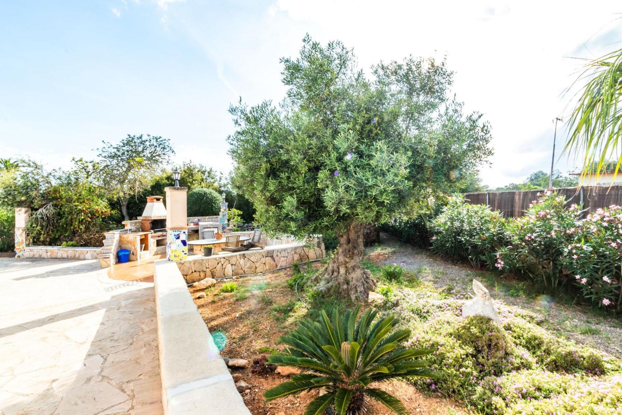 Can Flores 3 Apartman Santanyí Kültér fotó